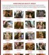 Gag Sluts Members Area