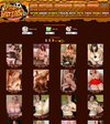 Video Fatties Members Area