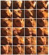 Cum Cum Sofia Members Area