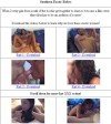Euro Fetish Freaks Members Area