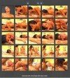 First Bi Fuck Members Area