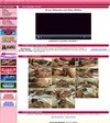 Swapping Cummrades Members Area
