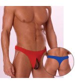 Mesh Tip Thong